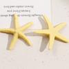 Série Oceano Zhen Tu Criativo Versátil Colorido Estrela-do-mar Resina Patches Brincos Presilhas de Cabelo Joias DIY Acessórios Materiais