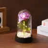 Nova Tampa de Vidro Única Flor Imortal Presente de Feriado Ornamentos de Mesa Luminosos Decoração de Cena Flores Artificiais