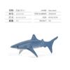 Simulação transfronteiriça modelo de animal marinho infantil mini tubarão-baleia golfinho tartaruga leão-marinho ornamentos sólidos estáticos feitos à mão
