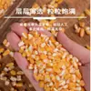 Granja de Temporada del Noreste Maíz Amarillo Nuevo Granos Grandes Sémola de Maíz Granos Gruesos Porridge Suave y Dulce Fácil de Cocinar