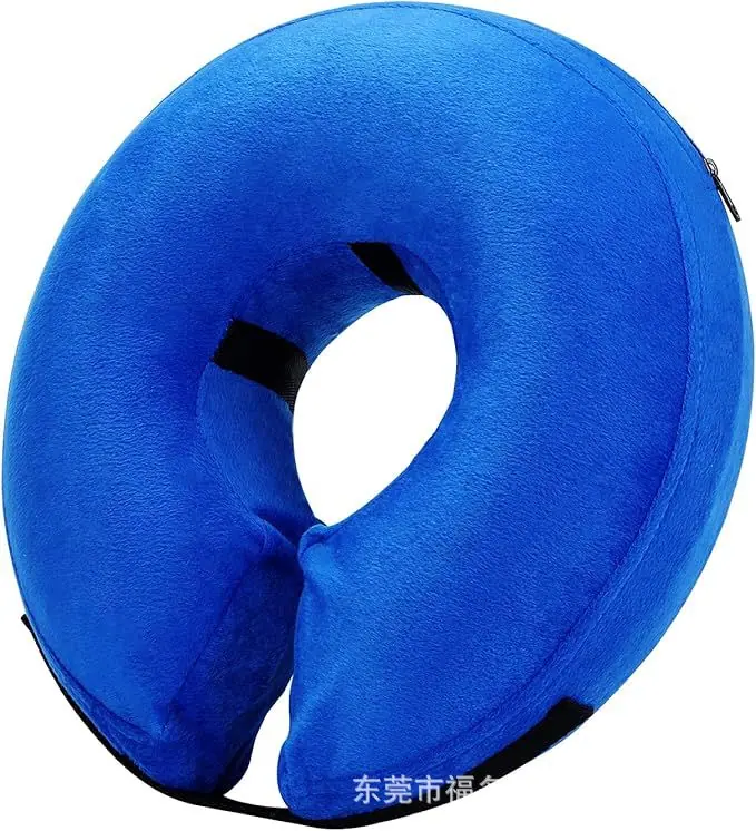 蓝狗脖圈