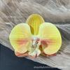 Cabeza de Flor de Phalaenopsis de Película Artificial Impresa en 3D Horquilla para el Cabello de Celebridad de Internet Souvenir de Boda Caja de Dulces de Boda Flores Falsas Decoradas a Mano
