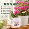 Fertilizante Compuesto Sanyuan Bougainvillea Genuino Fertilizante de Nitrógeno Fósforo Propósito General Flores Caseras Rosas de Maceta Granulado Especial