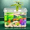 Tanque de peces dorados de plástico transparente de escritorio transfronterizo cubo de oficina de Amazon tanque de peces adornos de micro paisajismo para sala de estar tanque de tortugas