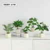 Plantas Verdes, Vasos Pequenos, Árvore da Fortuna Semelhante para Mesas de Escritório Internas, Mesas de Centro de Sala de Estar, Flores Artificiais e Arranjos Florais
