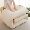 Colchón de algodón de Xinjiang, colchón de cama de alquiler, relleno de algodón, colcha de algodón, protector de colchón, protector de cama, colchón suave para dormitorio de estudiante individual, colchoneta de suelo
