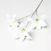 Comercio Exterior Transfronterizo Impresión 3D Película de Pu Lirio Perfume Flor de Lirio Artificial Humectante Flor Seca Boda Flor Artificial