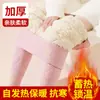 Leggings de Lã de Cordeiro Extra Grossos para Mulheres, Perfeitos para Usar sob Uniformes Escolares, Estilo Outono e Inverno, Forrados com Fleece e Espessados para Aquecimento, Calças Térmicas, Calças de Algodão
