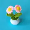 Flor de Daisy de Lana Tejida a Mano de Doble Cabeza en Maceta Flor Artificial Crochetada Regalo para el Día del Maestro Decoración de Escritorio