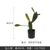 Grande Simulação Nórdica Cacto Em Vaso Decoração De Cena Do Deserto Tropical Bonsai Simulação Planta Simulação Cacto Pilar