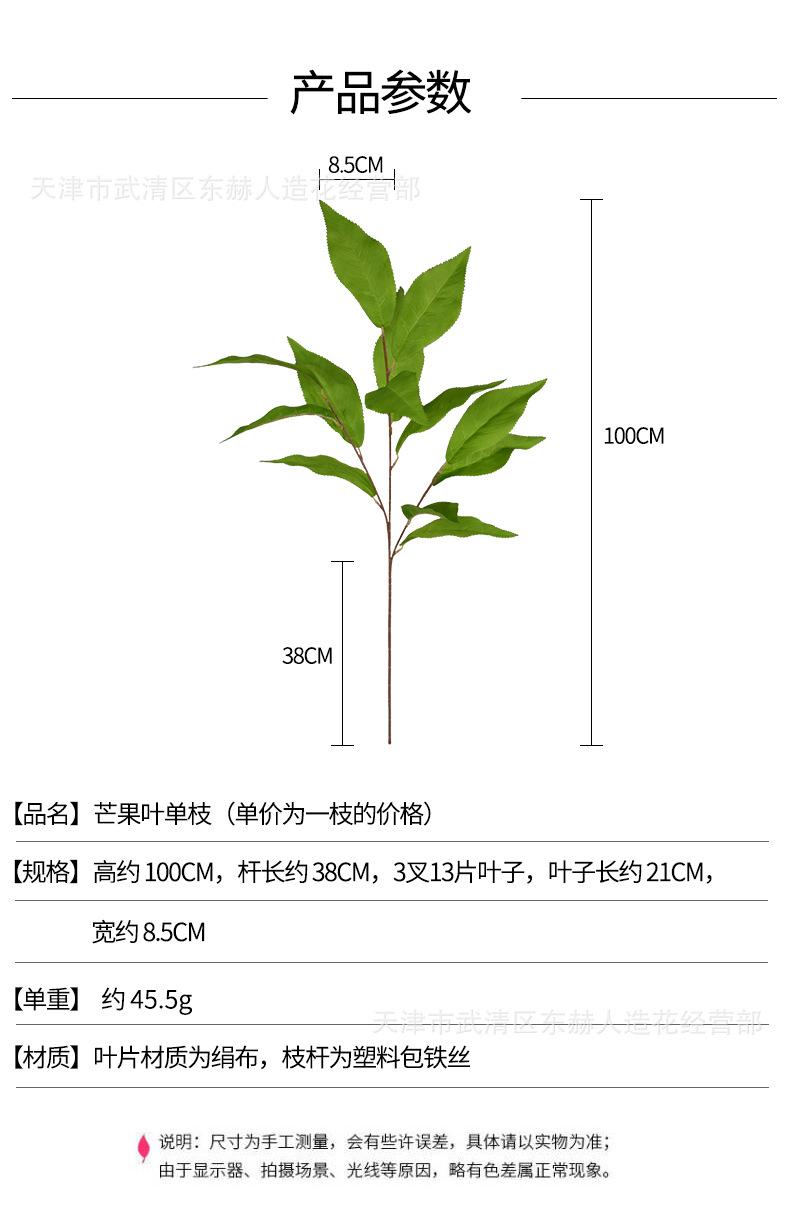 详情_01.png