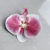 Pinza para el pelo de Flor de Falenopsis Atmosférica Estilo Coreano Super Hada para Mujer con Pinza de Pato Lateral en la Parte Posterior de la Cabeza y Pinza para el Pelo