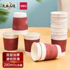 Deli 19206 Vasos de Papel de Doble Capa 20 Piezas 280ml Vasos Desechables Vasos para Agua/Vasos de Papel Anti-escaldado y Engrosado