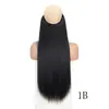 Comercio exterior europeo y americano peluca para mujer cortina de pelo de línea de pesca cabello largo liso parche de pelo natural sin costuras fabricantes en stock peluca de fibra química