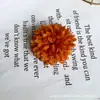 Flor de Simulação Bola de Ping Pong Crisântemo Cabeça de Crisântemo Decoração de Casamento Hortênsia Decoração de Casamento DIY Melaleucas Flores Artificiais Artesanato
