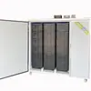 Máquina de Broto de Amendoim Equipamento de Plantio de Broto de Amendoim Máquinas Totalmente Automáticas para Broto de Amendoim Máquina Comercial de Broto de Amendoim