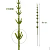 Diretamente do Fabricante: Galhos de Flores para Buquê com 37 Ramos, Galhos de Pinheiro, Acessórios de Plantas Verdes Artificiais, Bonsai, Decorações de Feriado de Natal