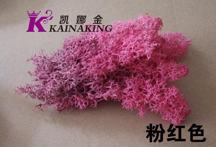 粉红苔藓