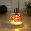 Enfeites de Natal Transfronteiriços Pet 8cm Decorações Penduradas Transparentes para Interior Luz LED Branco Quente Bola de Natal Atacado Iluminação LED