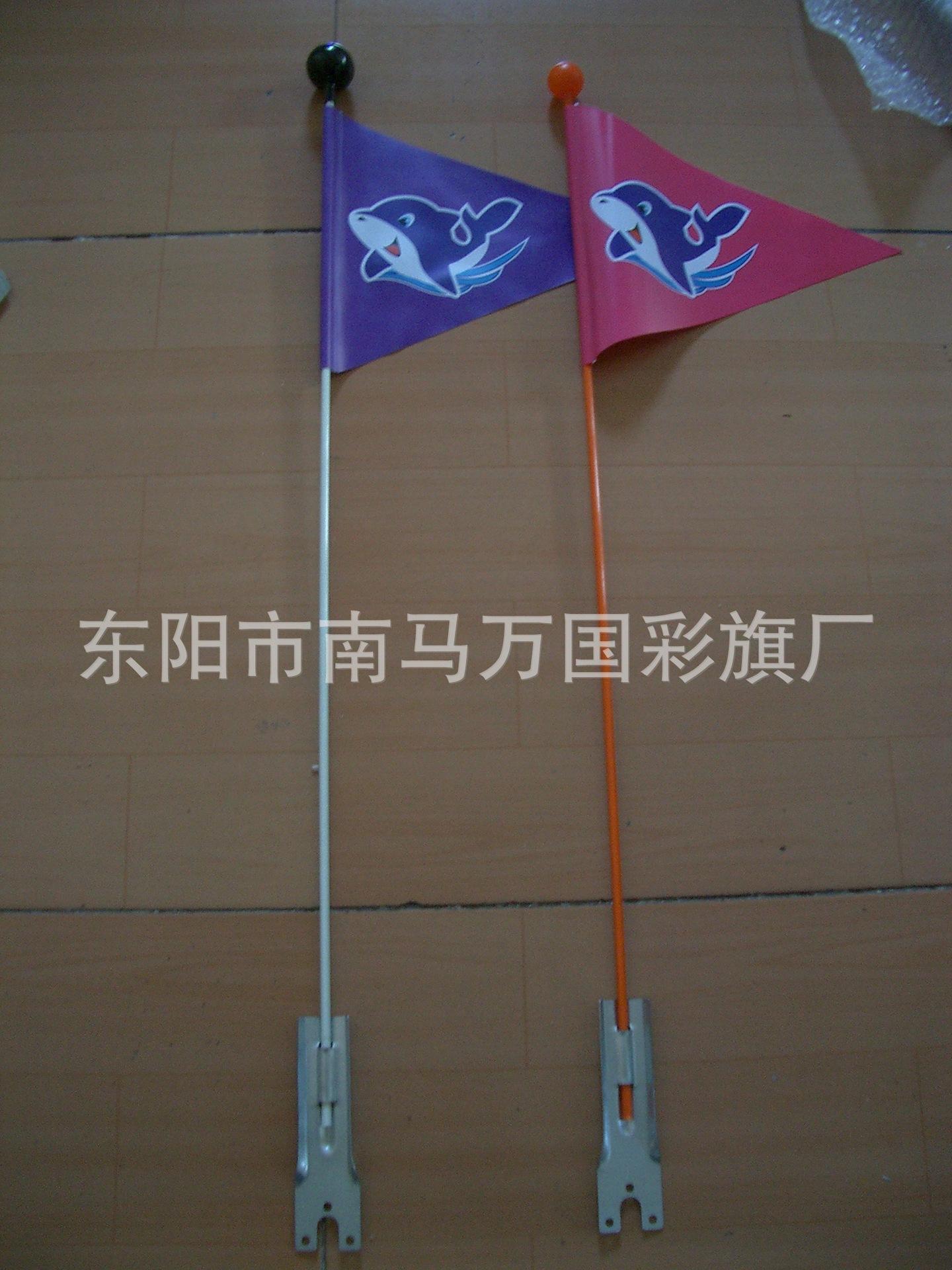 CIMG1153