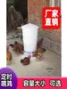 Comedero Automático con Temporizador para Pollos, Patos y Gansos; Comedero Automático para Pollos; Cubo de alimento; Comedero para pollos