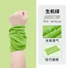 Faixa de Cabeça Refrescante para Esportes, Pulseira de Pulso para Fitness, Corrida, Protetor de Pulso Absorvente de Suor, Montanhismo ao Ar Livre, Ciclismo, Respirável, Portátil, Resfriamento com Gelo, Limpa Suor, Pulseira de Pulso
