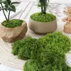 Grama de Musgo Biónica Artificial Musgo Falso Micro Paisagismo Decoração Gramado Bonsai Plantado em Vaso Pavimentação Paisagismo