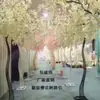 Nova decoração de casamento Estrada das Cerejeiras lead Estrada de Ferro lead moldura decoração de casamento Estrada das Cerejeiras lead arco de cerejeira porta Estrada das Cerejeiras lead