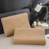 Funda de almohada de látex impermeable Funda de almohada para adulto Funda de almohada de goma Funda de almohada especial 30X35X40X55X60 Par Estilo Nuevo