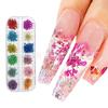 Transfronteiriço Nova Arte de Unhas Flor Seca Ins Estilo Japonês Francês Flor Real Flor Natural Joia de Flor Frasco de Flor Seca para Unhas