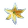Flores de Lirio de Seda Artificial Cabeza de Flor de Lirio para Boda 18cm Arco de Lirio Falso Decoración Flores Falsas Mayoreo