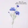 Cosmos Simulado Estilo Pastoral Flor Gesang Decoración del Hogar Arreglo Floral Coreano Adornos Fotografía de Bodas Flores Artificiales Decorativas
