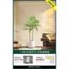 Planta en Maceta de Piso Nandina Domestica, Planta Verde Artificial Grande para Interiores, Decoración de Lujo Ligero para Sala de Estar, Árbol Artificial