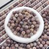 Taro Mochi Semente de Bodhi Barril Contas Artesanal DIY Acessórios Semente de Bodhi Contas Budistas Fonte para Live Stream Atacado Pulseiras
