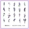 Serie Museo Natural Yuezhen Paquete de Pegatinas Pegatinas Vintage para Diario Infantil Pegatinas de Flor y Mariposa PET