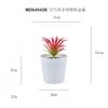 En existencia Simulación de hierba de aire carnosa falsa Planta en maceta Decoración de escritorio Regalo Mini planta verde Bonsai TEMU Planta de simulación