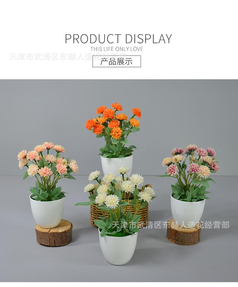 详情_11.png