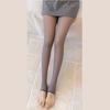 Medias gruesas Artefacto de pierna ligera Otoño e Invierno Pieza única Transparente Color piel Falso carne Azafata Gris con forro polar Leggings Ropa exterior de mujer