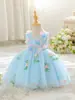 Vestido de Princesa Elfa de Hadas para Niñas, Lujo Ligero de Gama Alta, Cumpleaños, Pasarela, Anfitriona de Campus, Falda de Malla Esponjosa