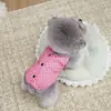 Roupas para Pets Primavera e Verão Novo Estilo Tamanho Pequeno Cães, Gatos, Bichon, Teddy Roupinha Fofa Estilosa 26 Cardigan Doce Cool