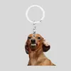 Chaveiro de Cachorrinho Desenho Animado Criativo Transfronteiriço Pingente de Mochila Acrílico 2D Plano Personalizado Pequeno Presente para Evento de Feriado
