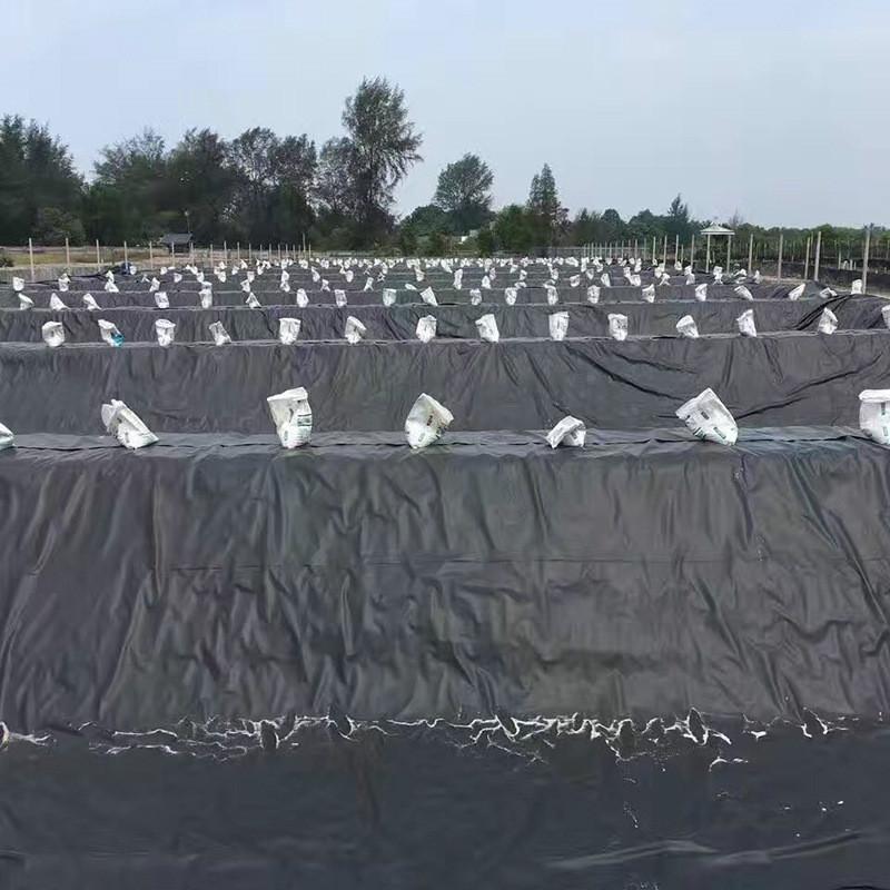 81f9bb345982b2b7a26cbdbd26adcb