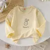 Suporte a Personalização~Camisetas de Outono para Bebês Meninos e Meninas, Roupas Infantis de Algodão, Tops Básicos Infantis de Tamanho Pequeno e Médio