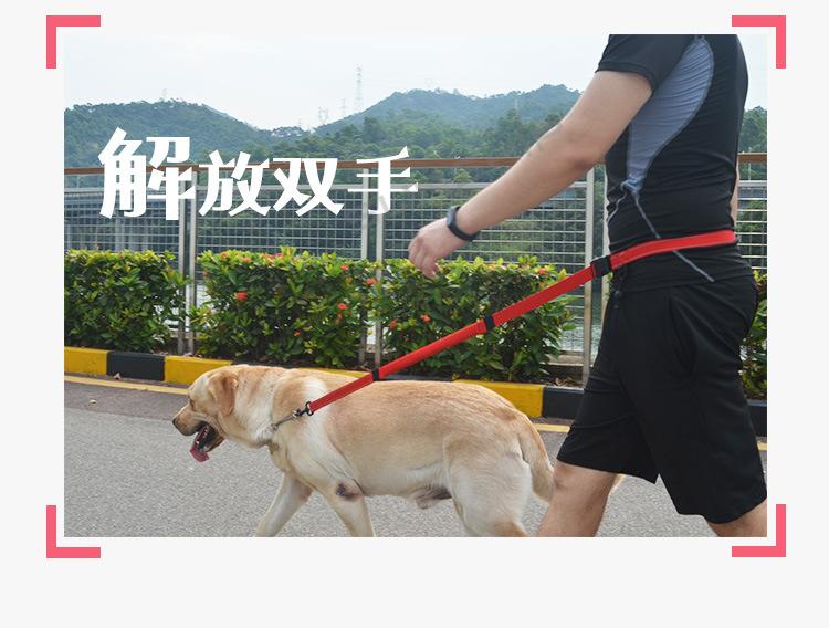 宠物跑步牵引绳V_20191021_03.jpg