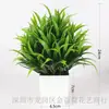 Plantas Simuladas de Venta Caliente Transfronteriza, Plantas Falsas, Plantas Verdes, Decoración Interior y Exterior Plástico Macetado Eucalipto Plantas Pequeñas en Maceta