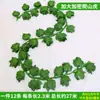Plantas Verdes Artificiales, Enredaderas, Hojas Falsas, Enredaderas Perennes, Flores de Plástico, Hiedra Artificial, Hojas de Vid, Hiedra Verde