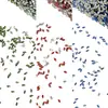 Pedras de strass para nail art em zircônia em formato de losango, populares online, super brilhantes, pedras de strass pequenas com base plana de floco de neve de Natal para unhas
