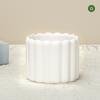 Venta al por mayor de fábrica maceta pequeña creativa simulación suculenta flor falsa adornos decorativos jarrón maceta de plástico de color sólido