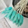 Ramo de Hierba Cola de Conejo Seca, Hierba Cola de Conejo Teñida DIY Flores Secas, Flores Hechas a Mano de Yunnan