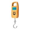 Balança eletrônica nova balança de cabaça eletrônica mini balança portátil balança eletrônica portátil balança para idosos 50kg balança para expresso